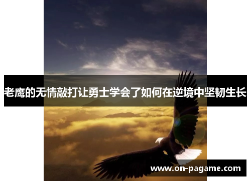 老鹰的无情敲打让勇士学会了如何在逆境中坚韧生长 老鹰的无情敲打让勇士学会了如何在逆境中坚韧生长