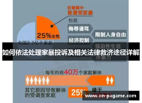 如何依法处理家暴投诉及相关法律救济途径详解 如何依法处理家暴投诉及相关法律救济途径详解