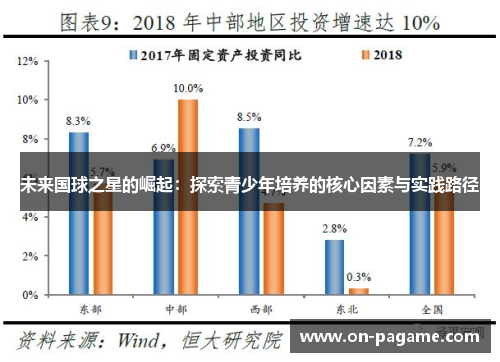未来国球之星的崛起:探索青少年培养的核心因素与实践路径 未来国球之星的崛起:探索青少年培养的核心因素与实践路径