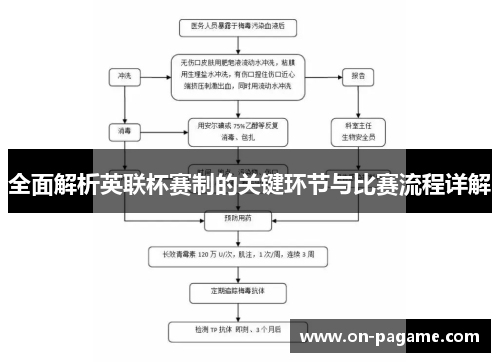 全面解析英联杯赛制的关键环节与比赛流程详解