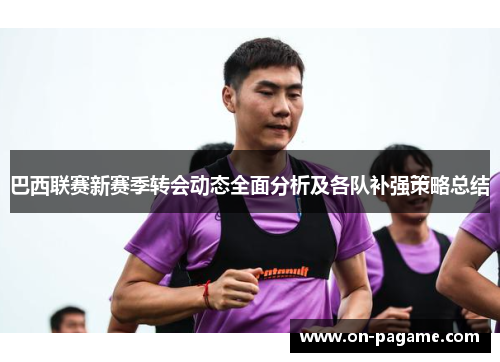 巴西联赛新赛季转会动态全面分析及各队补强策略总结