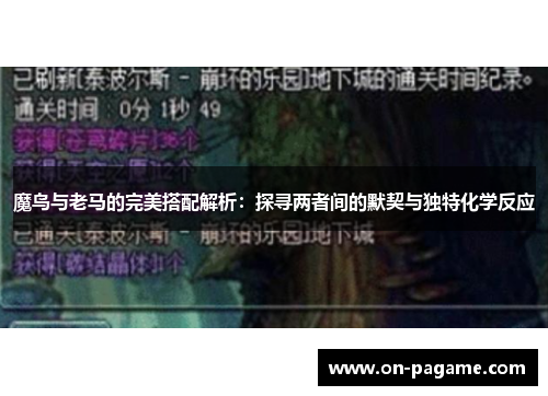 魔鸟与老马的完美搭配解析：探寻两者间的默契与独特化学反应